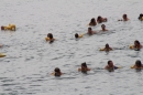 Zuercher-Limmatschwimmen-2018-08-18-Bodensee-Community-SEECHAT_DE-_69_.JPG