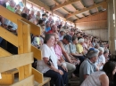 Fohlenmarkt-Riedlingen-2018-08-23-Bodensee-Community-SEECHAT_DE-_101_.JPG