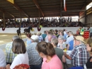 Fohlenmarkt-Riedlingen-2018-08-23-Bodensee-Community-SEECHAT_DE-_18_.JPG