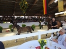 Fohlenmarkt-Riedlingen-2018-08-23-Bodensee-Community-SEECHAT_DE-_35_.JPG