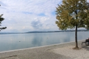 Chlibli-Lache-SZ-zuerichsee-2018-09-03-Bodensee-Community-SEECHAT_DE-_18_.JPG