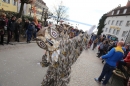 Faschingsumzug-Narrenbaum-Meersburg-24219-Bodensee-Community-SEECHAT_DE-IMG_6454.JPG