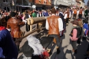 Narrenbaum-2019-02-28-Bodensee-Community-SEECHAT_DE-DSC03346.JPG