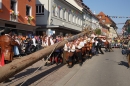 Narrenbaum-2019-02-28-Bodensee-Community-SEECHAT_DE-DSC03399.JPG