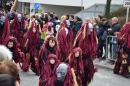 Narrensprung-Friedrichshafen-2019-03-02-Bodensee-Community-SEECHAT_DE-_327_.JPG