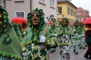 Fasnetsumzug-Tettnang-2019-03-05-Bodensee-Community-SEECHAT_DE-_256_.JPG