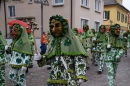 Fasnetsumzug-Tettnang-2019-03-05-Bodensee-Community-SEECHAT_DE-_258_.JPG