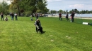 Hundeshow-Rorschach-2019-05-19-Bodensee-Community-SEECHAT_DE-_104_.jpg