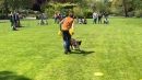 Hundeshow-Rorschach-2019-05-19-Bodensee-Community-SEECHAT_DE-_27_.jpg