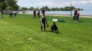 Hundeshow-Rorschach-2019-05-19-Bodensee-Community-SEECHAT_DE-_29_.jpg