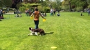 Hundeshow-Rorschach-2019-05-19-Bodensee-Community-SEECHAT_DE-_3_.jpg