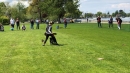 Hundeshow-Rorschach-2019-05-19-Bodensee-Community-SEECHAT_DE-_54_.jpg