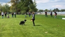 Hundeshow-Rorschach-2019-05-19-Bodensee-Community-SEECHAT_DE-_56_.jpg