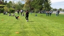 Hundeshow-Rorschach-2019-05-19-Bodensee-Community-SEECHAT_DE-_58_.jpg