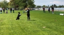 Hundeshow-Rorschach-2019-05-19-Bodensee-Community-SEECHAT_DE-_59_.jpg