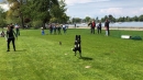 Hundeshow-Rorschach-2019-05-19-Bodensee-Community-SEECHAT_DE-_5_.jpg