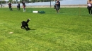 Hundeshow-Rorschach-2019-05-19-Bodensee-Community-SEECHAT_DE-_61_.jpg