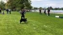 Hundeshow-Rorschach-2019-05-19-Bodensee-Community-SEECHAT_DE-_62_.jpg