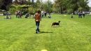 Hundeshow-Rorschach-2019-05-19-Bodensee-Community-SEECHAT_DE-_63_.jpg