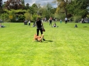 Hundeshow-Rorschach-2019-05-19-Bodensee-Community-SEECHAT_DE-_68_.jpg