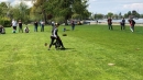 Hundeshow-Rorschach-2019-05-19-Bodensee-Community-SEECHAT_DE-_69_.jpg