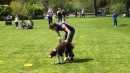 Hundeshow-Rorschach-2019-05-19-Bodensee-Community-SEECHAT_DE-_70_.jpg