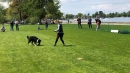 Hundeshow-Rorschach-2019-05-19-Bodensee-Community-SEECHAT_DE-_73_.jpg