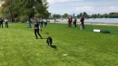 Hundeshow-Rorschach-2019-05-19-Bodensee-Community-SEECHAT_DE-_76_.jpg