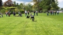 Hundeshow-Rorschach-2019-05-19-Bodensee-Community-SEECHAT_DE-_78_.jpg