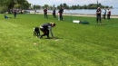 Hundeshow-Rorschach-2019-05-19-Bodensee-Community-SEECHAT_DE-_83_.jpg