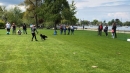 Hundeshow-Rorschach-2019-05-19-Bodensee-Community-SEECHAT_DE-_8_.jpg