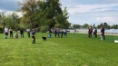 Hundeshow-Rorschach-2019-05-19-Bodensee-Community-SEECHAT_DE-_96_.jpg