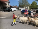 Kinderfest-Herisau-2019-06-18-Bodensee-Community-SEECHAT_DE-_23_.jpg