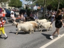 Kinderfest-Herisau-2019-06-18-Bodensee-Community-SEECHAT_DE-_28_.jpg