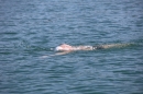 Bodenseeequerung-Bodenseeboot-Laier-250719-Bodensee-Community-SEECHAT_DE-IMG_2571.JPG