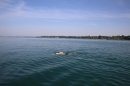 Bodenseeequerung-Bodenseeboot-Laier-250719-Bodensee-Community-SEECHAT_DE-IMG_2582.JPG