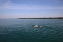 Bodenseeequerung-Bodenseeboot-Laier-250719-Bodensee-Community-SEECHAT_DE-IMG_2591.JPG