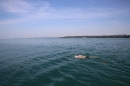 Bodenseeequerung-Bodenseeboot-Laier-250719-Bodensee-Community-SEECHAT_DE-IMG_2592.JPG