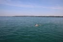 Bodenseeequerung-Bodenseeboot-Laier-250719-Bodensee-Community-SEECHAT_DE-IMG_2598.JPG