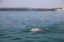 Bodenseeequerung-Bodenseeboot-Laier-250719-Bodensee-Community-SEECHAT_DE-IMG_2615.JPG