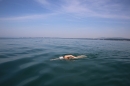 Bodenseeequerung-Bodenseeboot-Laier-250719-Bodensee-Community-SEECHAT_DE-IMG_2652.JPG