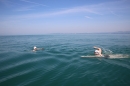 Bodenseeequerung-Bodenseeboot-Laier-250719-Bodensee-Community-SEECHAT_DE-IMG_2699.JPG