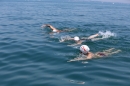 Bodenseeequerung-Bodenseeboot-Laier-250719-Bodensee-Community-SEECHAT_DE-IMG_2860.JPG