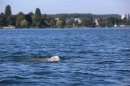 BODENSEEBOOT-Ulrike-Roedel-2019-Bodensee-Community-SEECHAT_DE-_73_.JPG