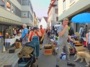 Flohmarkt-Sigmaringen-31-08-2019-Bodensee-Community-SEECHAT_DE-_114_.JPG