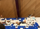 LEGO-Ausstellung-Arbon-06-10-2019-Bodensee-Community-SEECHAT_DE-IMG_2450.jpg