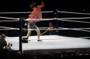 WWE-Zuerich-2019-11-13-Bodensee-Community-SEECHAT_DE-_123_.JPG