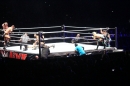 WWE-Zuerich-2019-11-13-Bodensee-Community-SEECHAT_DE-_124_.JPG