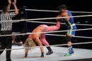 WWE-Zuerich-2019-11-13-Bodensee-Community-SEECHAT_DE-_143_.JPG