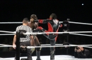 WWE-Zuerich-2019-11-13-Bodensee-Community-SEECHAT_DE-_303_.JPG